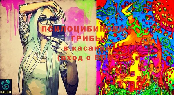 spice Абаза
