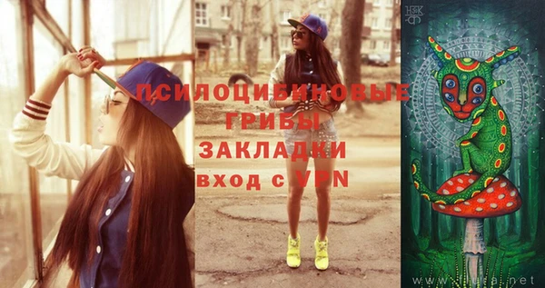 spice Абаза