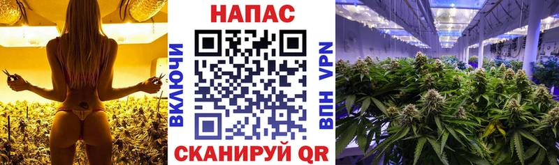 Канабис ГИДРОПОН  что такое   Скопин 